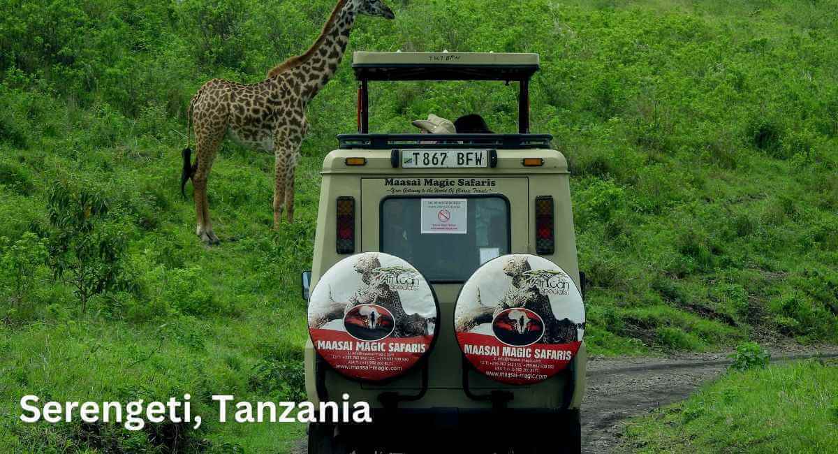 destinations, Serengeti, Tanzania