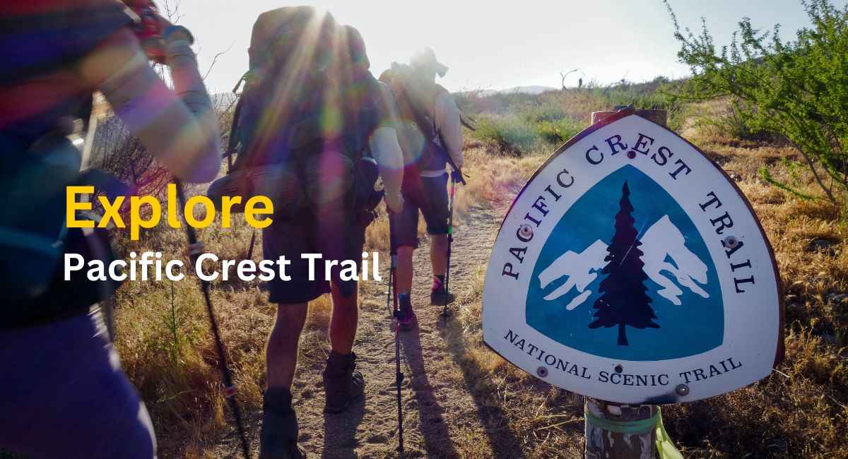 Exploring the pacific crest trail